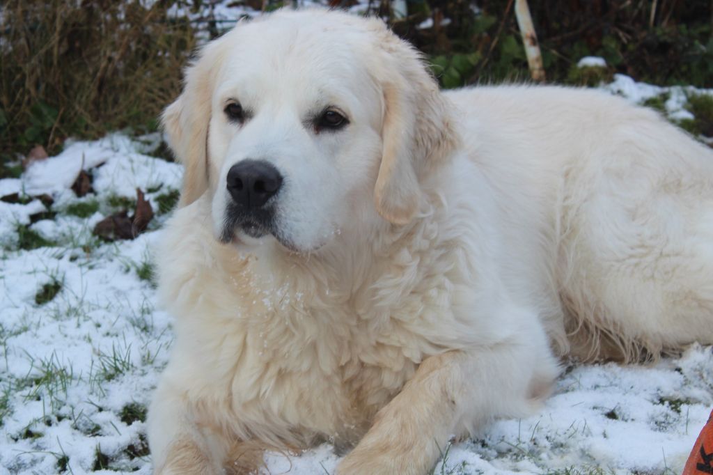Va là ou brille la lumière de bihan ki breizh